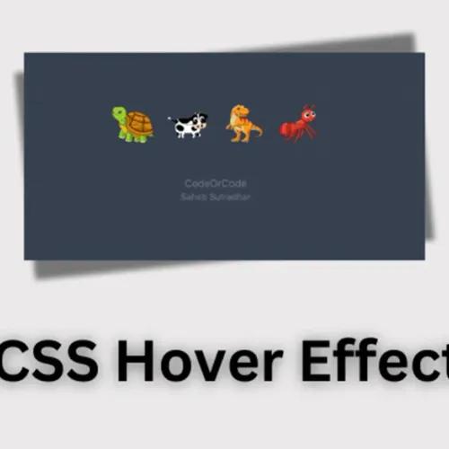 Hover CSS - Bí quyết tạo hiệu ứng web tương tác đỉnh cao